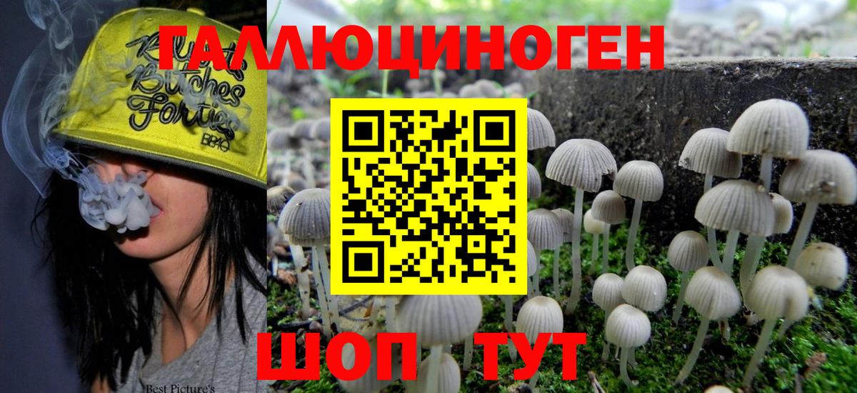 Псилоцибиновые грибы мухоморы Выкса