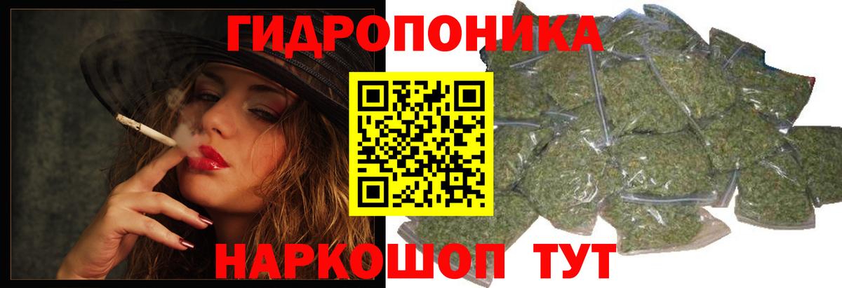 Шишки марихуана гибрид Выкса